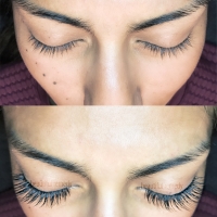 lash 1003
