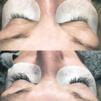 lash 1101 small